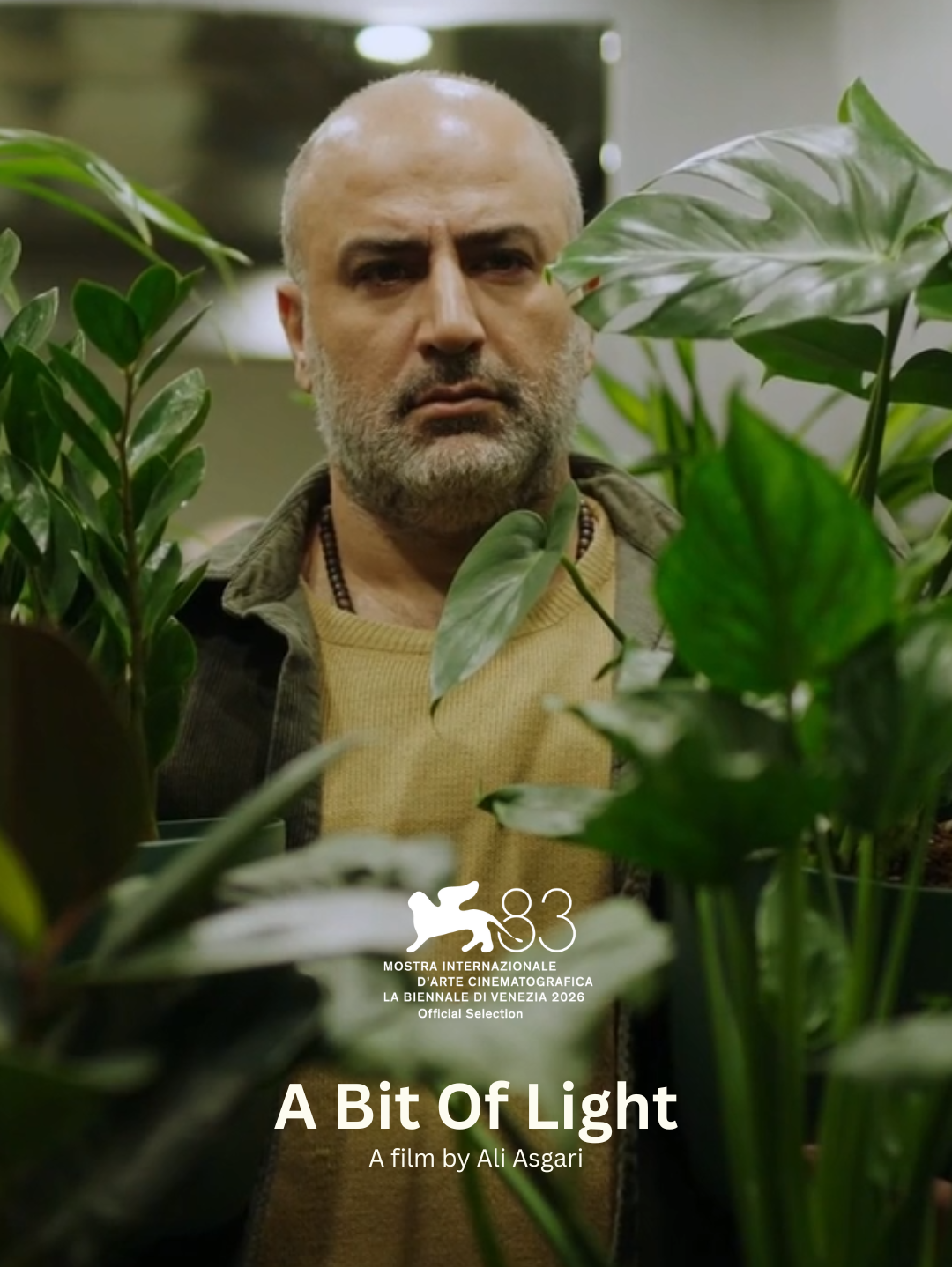 A BIT OF LIGHT